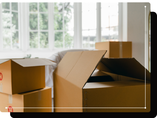 image of boxed unpacked