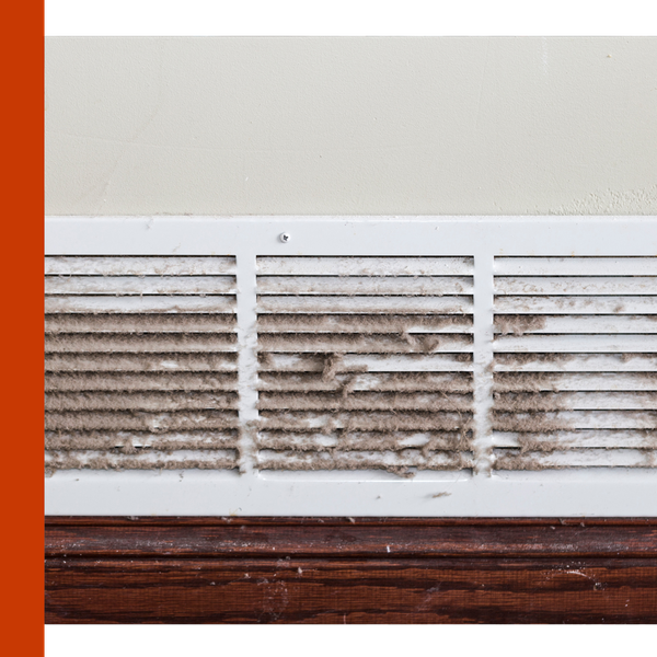 Image of dust in a vent Image of dust in a vent