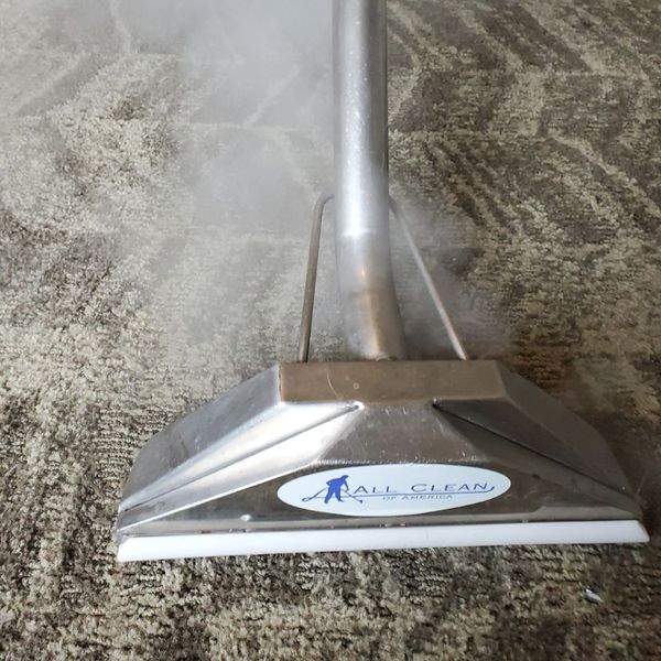 A professional steam cleaning wand extracts grime and moisture from a light-colored carpet.