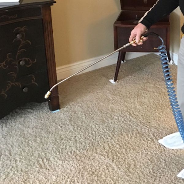 A carpet being cleaned