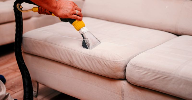 M33824 -Blitz  4 Reasons To Choose A Local Upholstery Cleaning Service.jpg