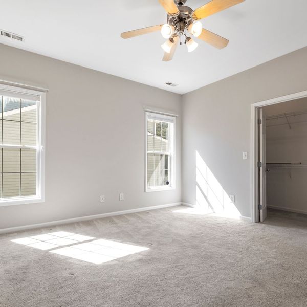 A clean carpet. A clean carpet.
