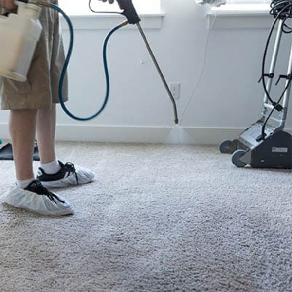 All Clean technician applying pre-treatment spray to living room carpet.
