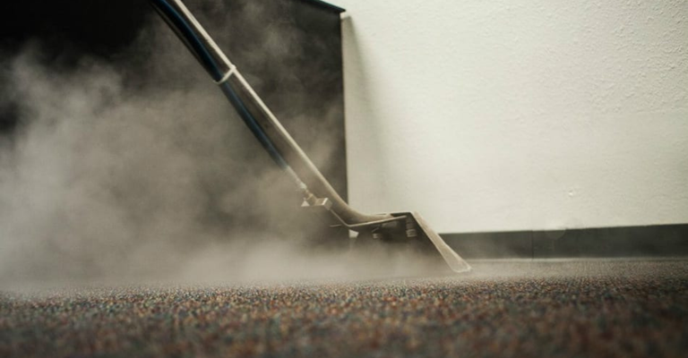 Common Carpet Cleaning Myths Busted by the Pros.png