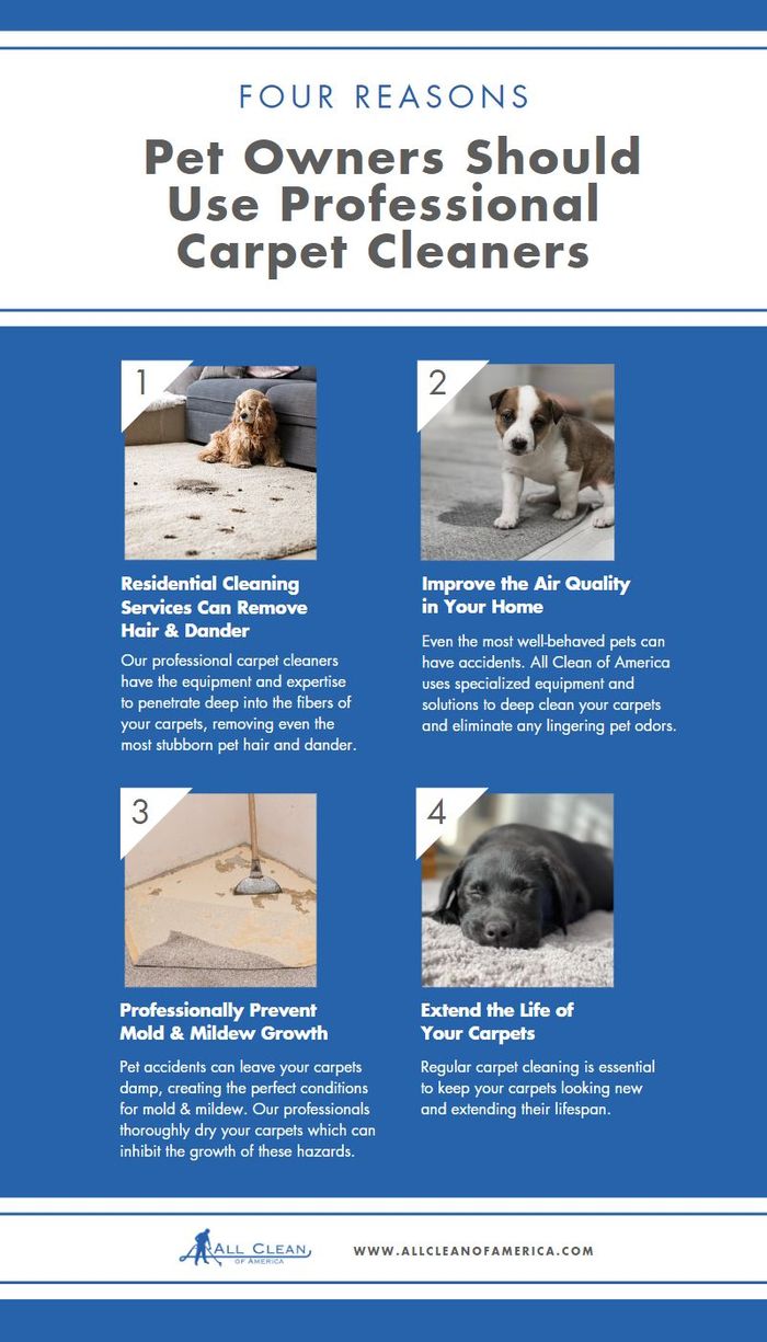 M33824 - Blitz - 4 Reasons All Pet Owners Should Use Professional Carpet Cleaners Infographic.jpg