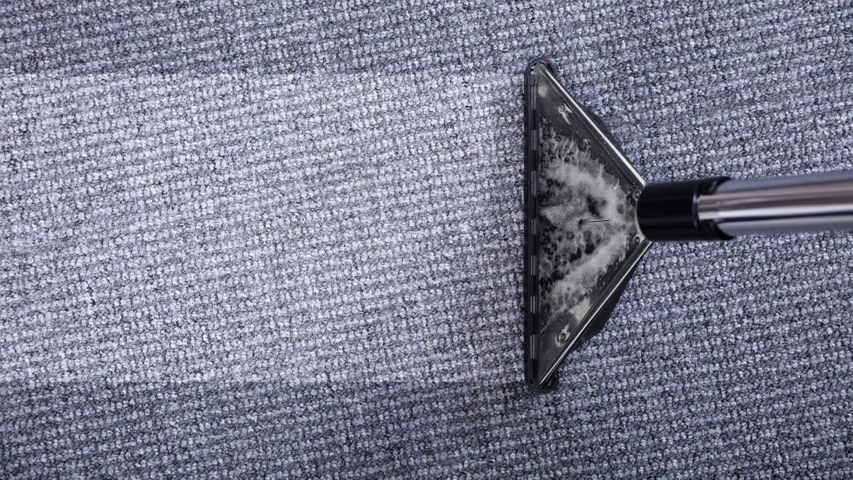 Carpet being professionally cleaned.