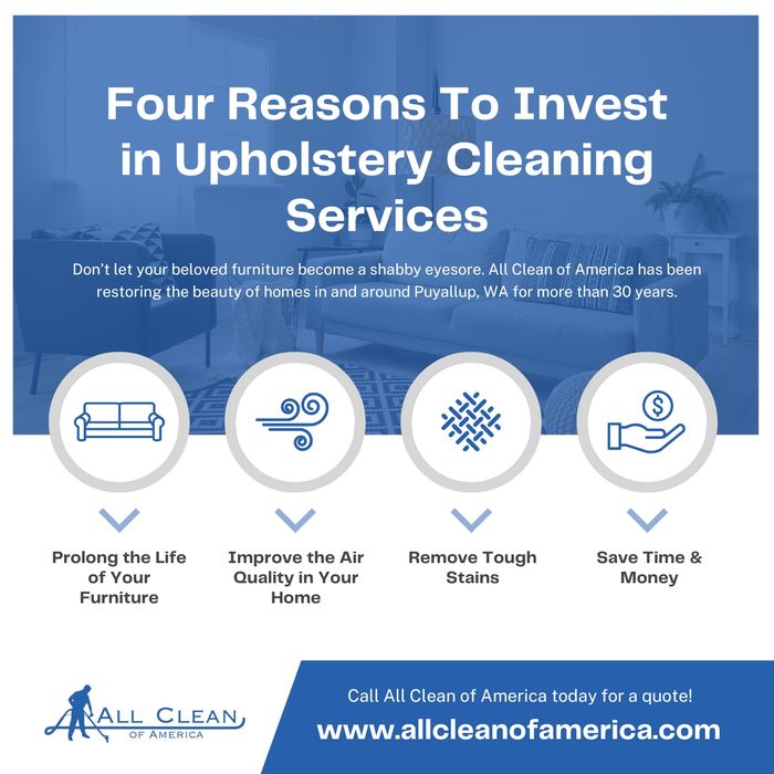 Four Reasons To Invest in Upholstery Cleaning Services -  Infographic