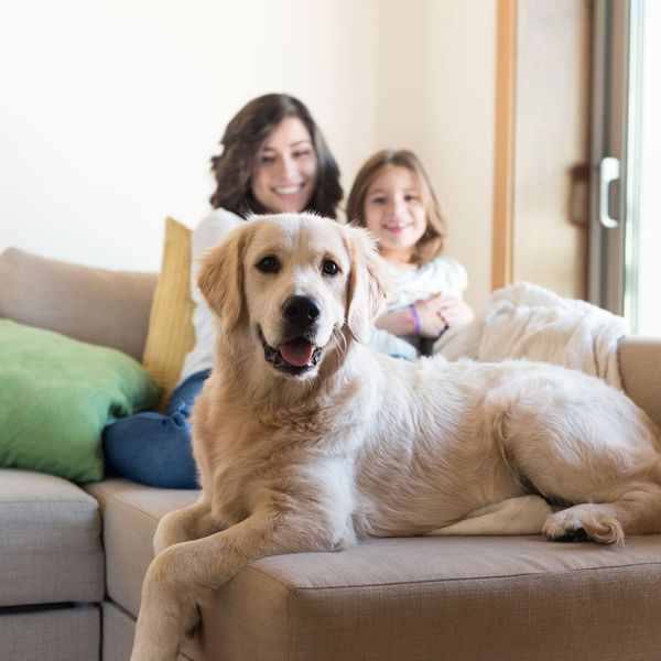 family with dog on the couch