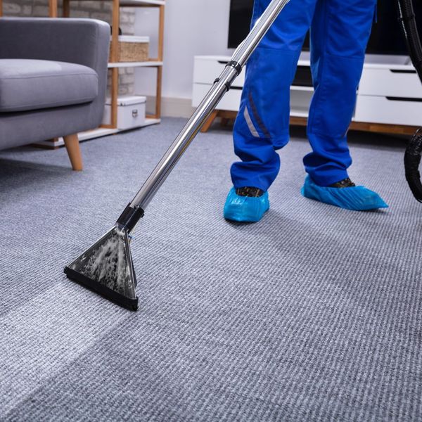 professional cleaning a carpet