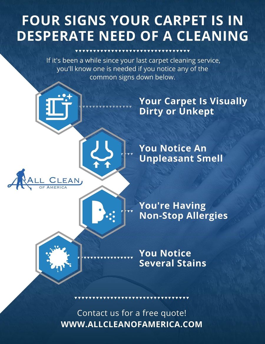 Signs you need a carpet clean