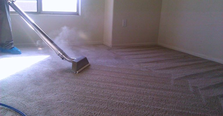 How Local Carpet Cleaners Save You Money in the Long Run.jpg