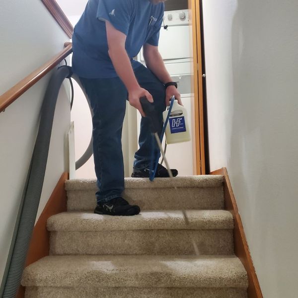 A cleaning expert uses a handheld extraction tool to deep clean carpeted stairs in a home.