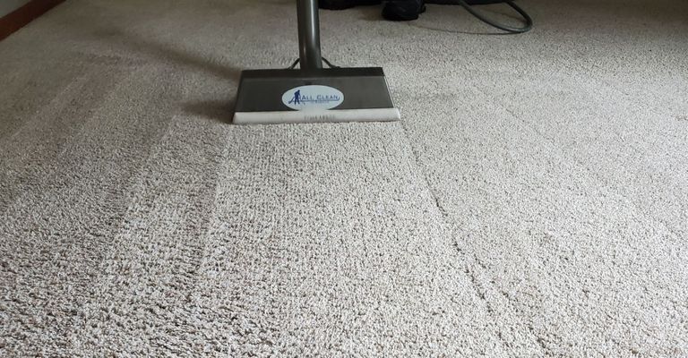 Hero DIY vs. Professional Carpet Cleaning.jpg