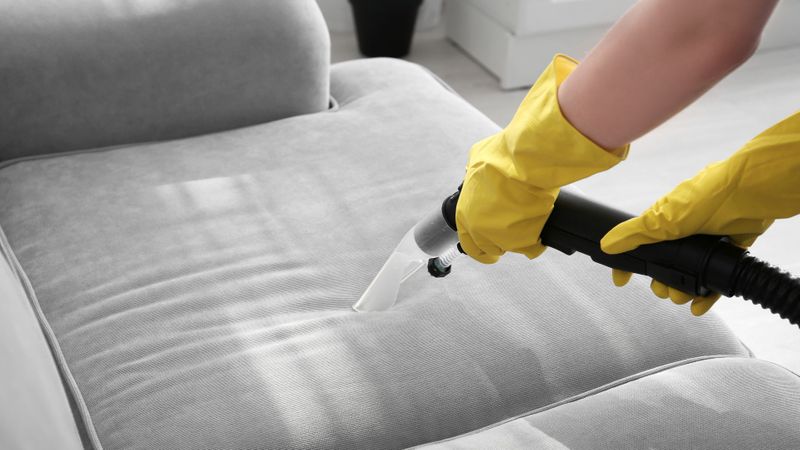 Professional cleaning a couch. 