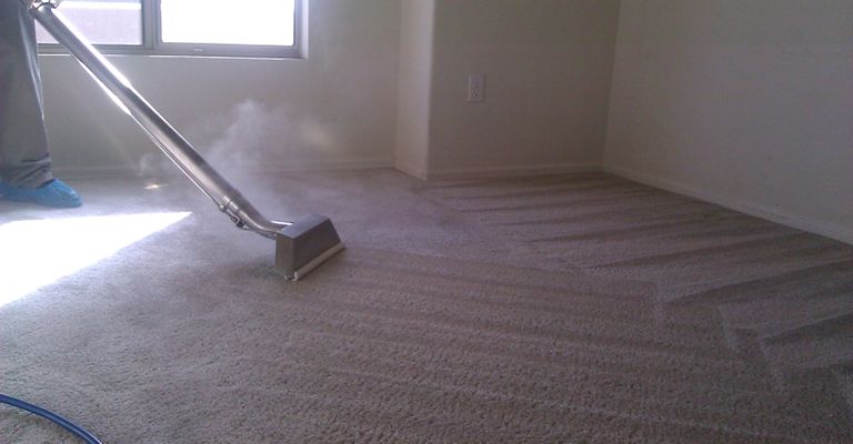 High-pressure steam cleaning wand refreshing plush beige residential carpet.