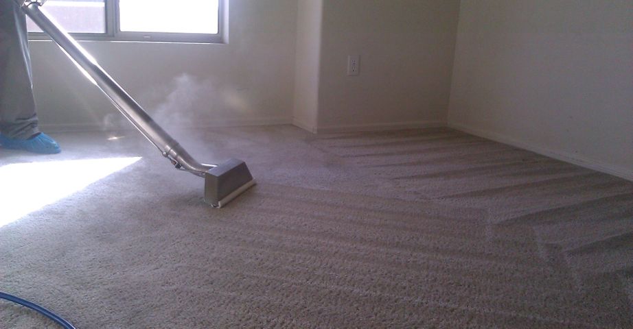 High-pressure steam cleaning wand refreshing plush beige residential carpet.