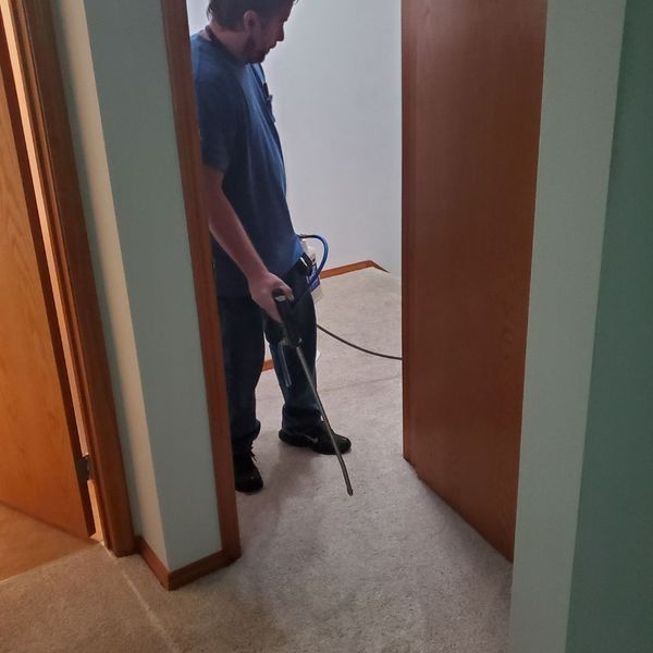 Carpet cleaner working