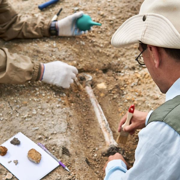 paleontologists uncovering fossil