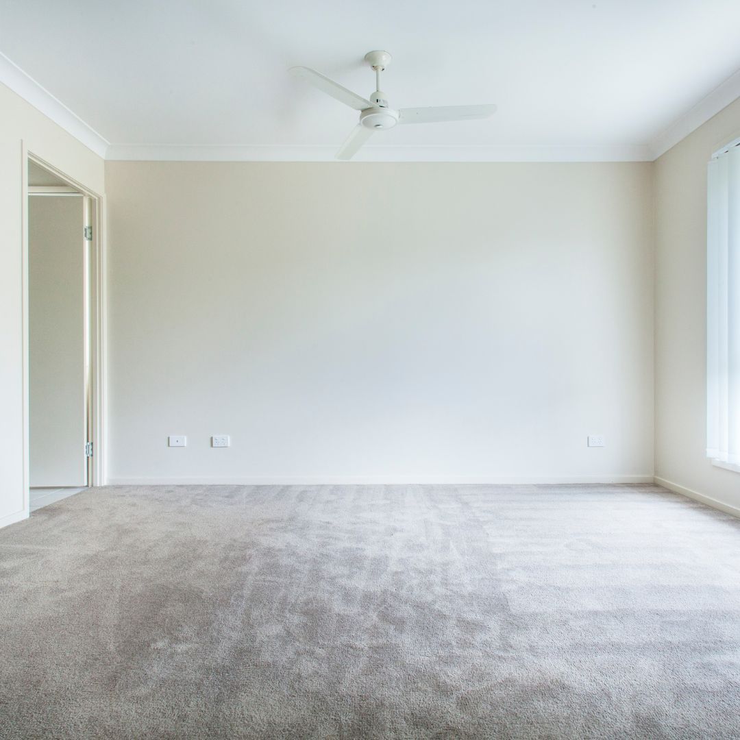 plush carpet in apartment