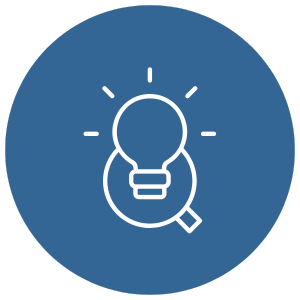 lightbulb icon