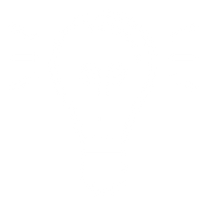 light bulb icon light bulb icon