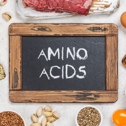 amino acids.png