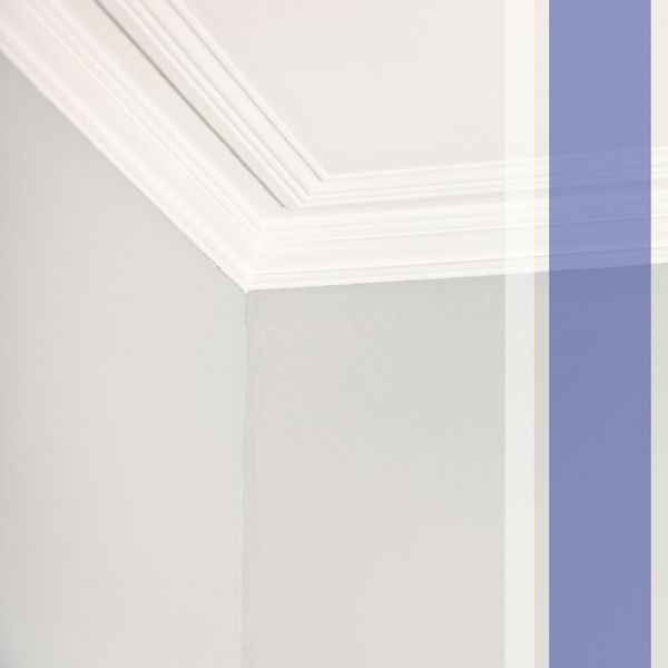 Interior Trim 2.png