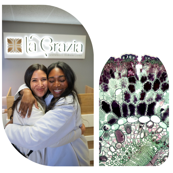 Metabolism & Hormone Support 1 - RV.png