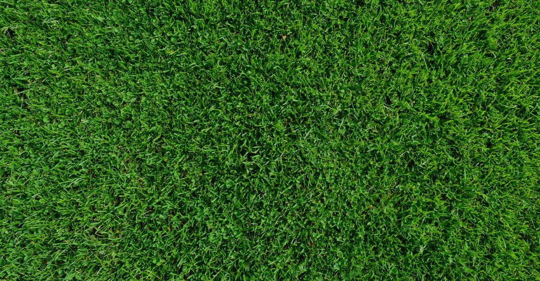 Where Can Waterless Turf Be Installed.jpg