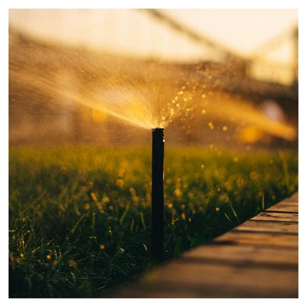 sprinklers on a lawn