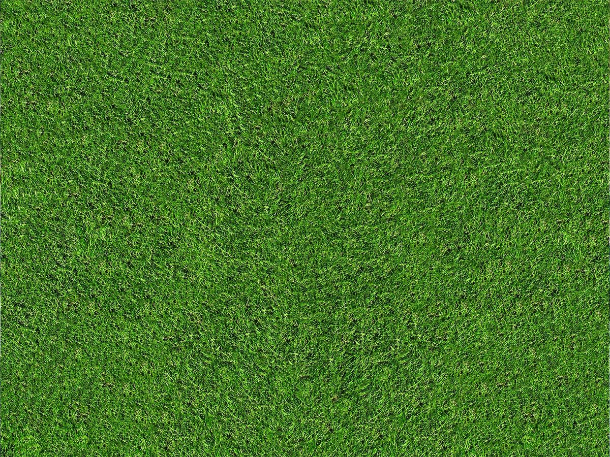 How to Clean Artificial Turf - Waterless Turf - Artificial Grass In