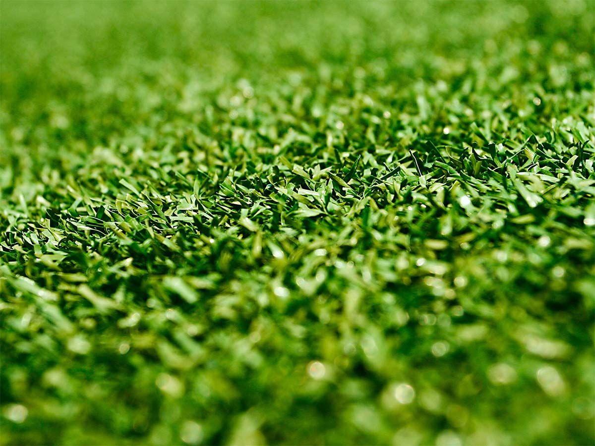 How to Clean Artificial Turf - Waterless Turf - Artificial Grass In