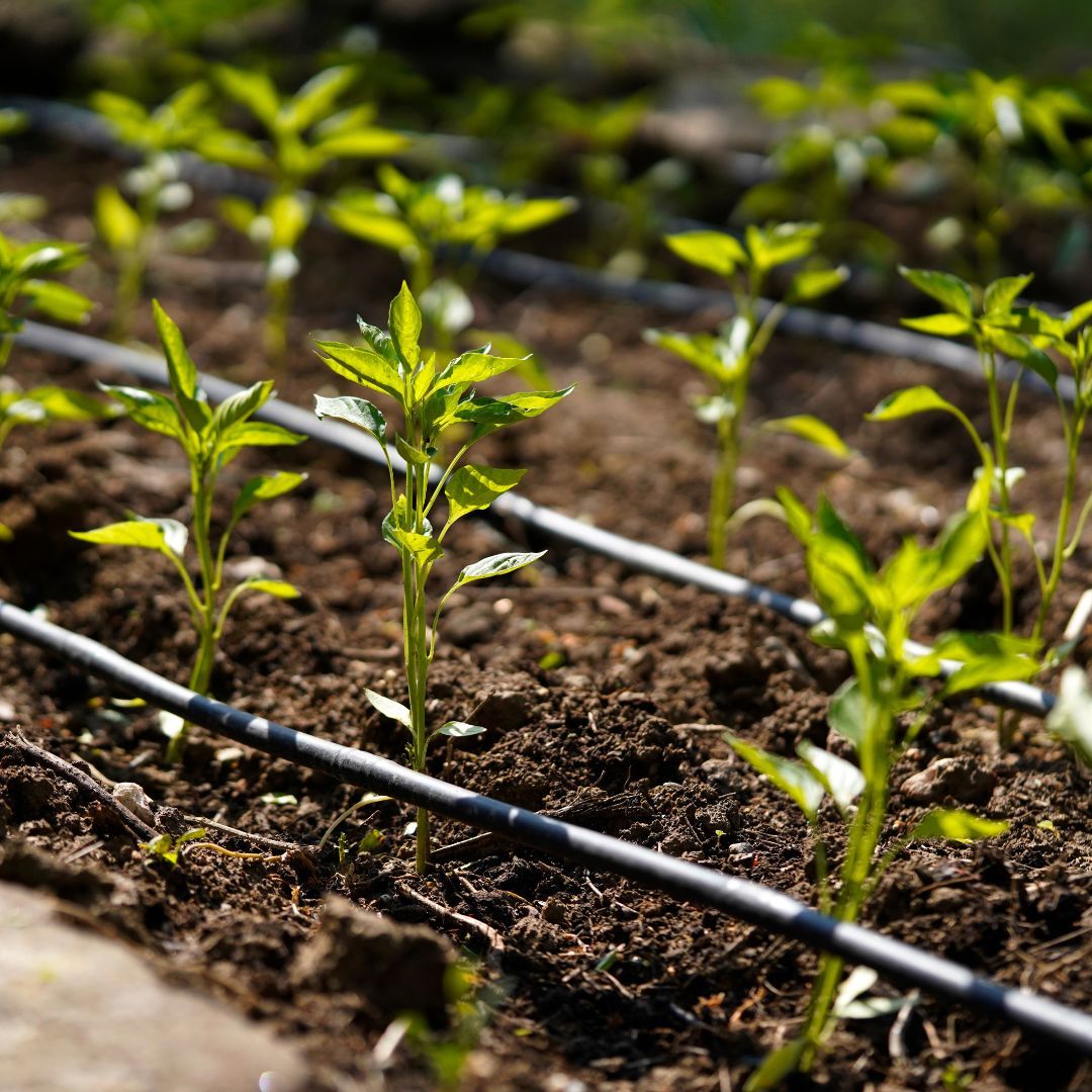 Efficient Irrigation Systems