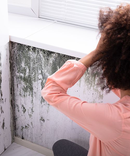 A woman seeing a large amount of mold