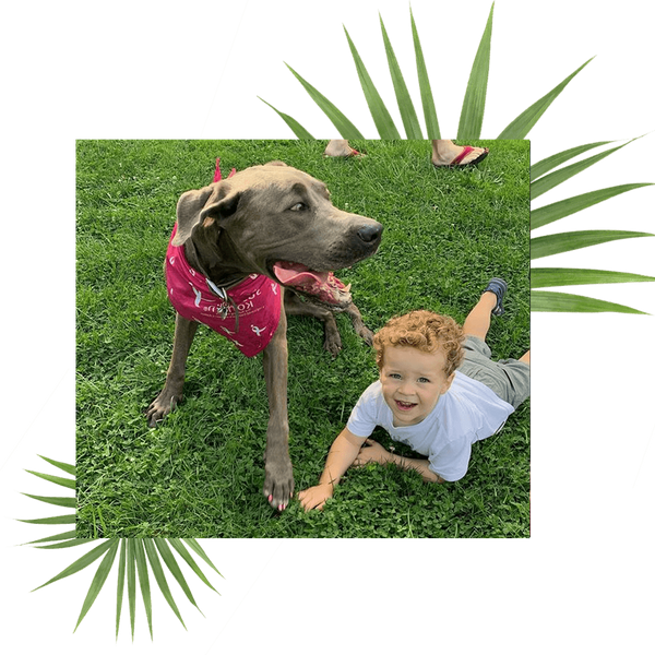 dog with kid