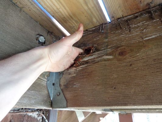 Rotted-Deck-Joist.jpg