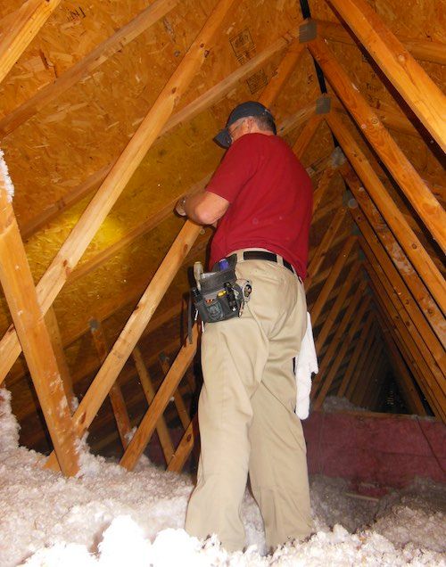 attic-insulation-inspection-inspector (1).jpg