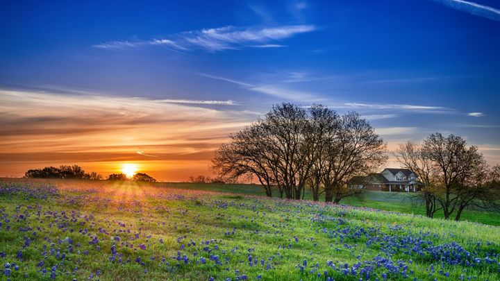 rural area in Texas