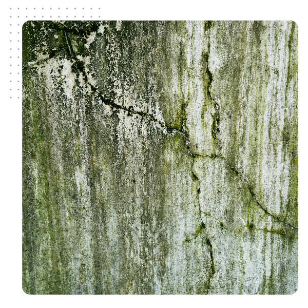 cracks and moisture damage