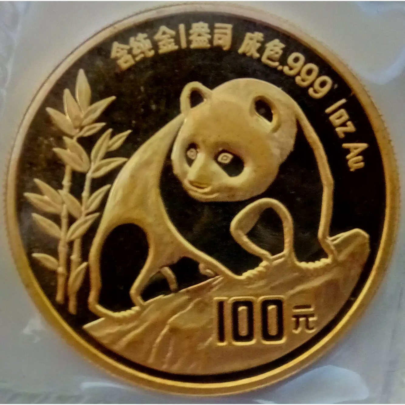 A detailed view of a gold 100 Yuan Chinese Panda coin sitting in a plastic protective sleeve. The design shows a panda reaching toward bamboo.