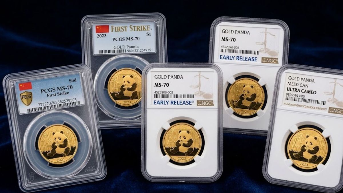 HERO How PCGS and NGC Ratings Impact Gold Panda Coins.jpg
