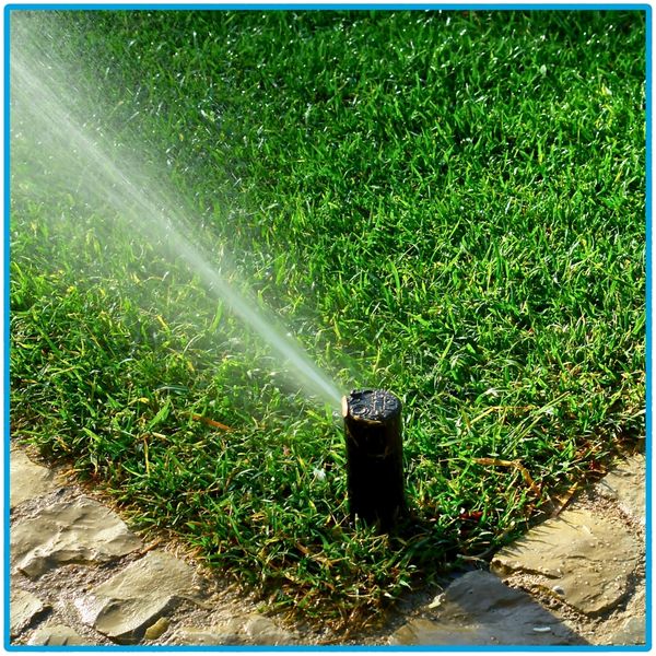 A Guide to Emergency Irrigation Repair-3.jpg