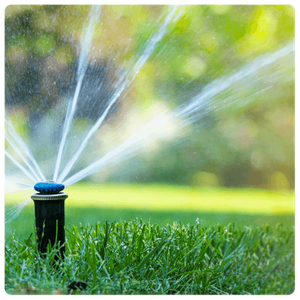 Irrigation Installation