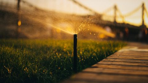 Signs Your Sprinkler System Needs Repair Right Away.jpg