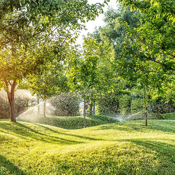 Cobb County GA PB Image 1.jpg