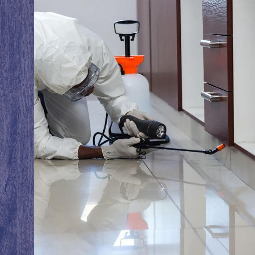 Pest Control Tynsgborough, MA2.png