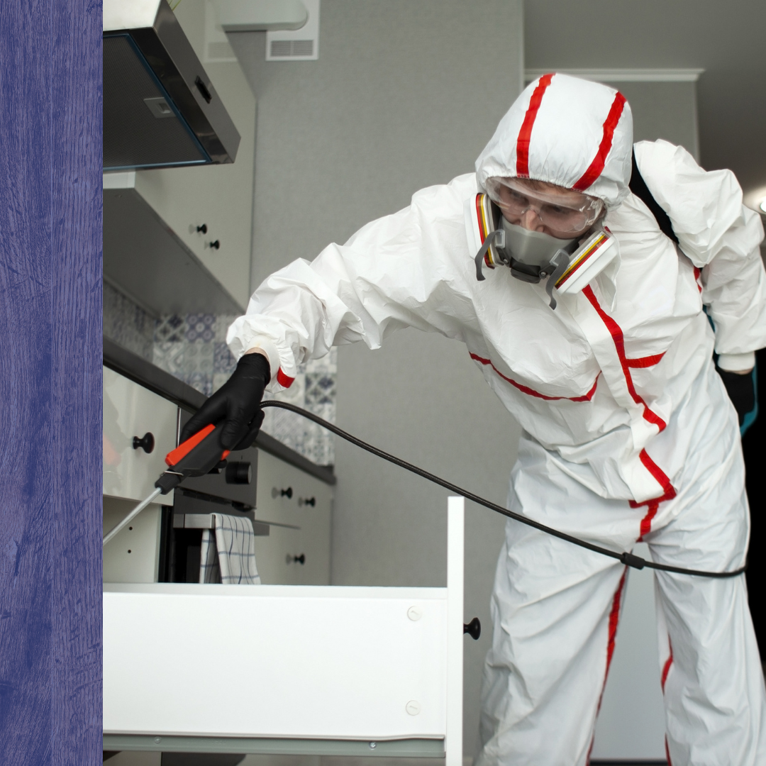 Pest Control Tynsgborough, MA4.png