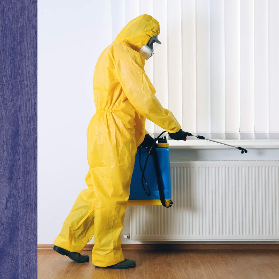 Pest Control Billerica, MA4.png