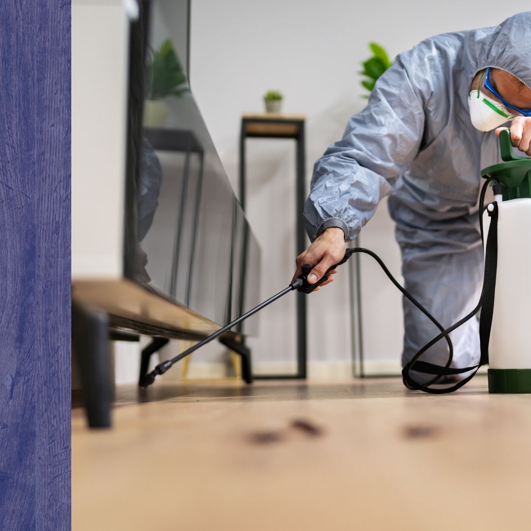 Ant Control Metheun - 2.jpg