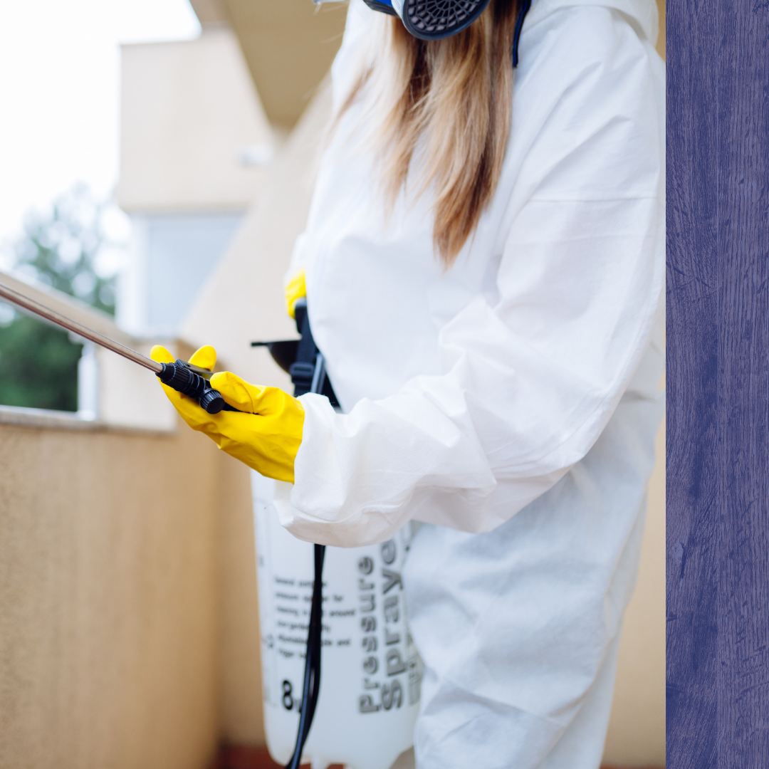Wasp Control 1.png